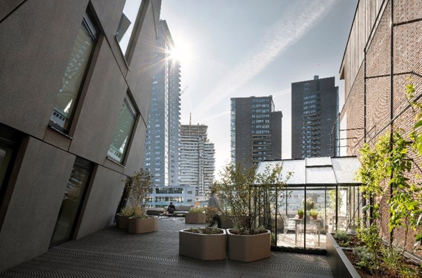 Uitzicht op de stad met moderne gebouwen en een zonnig dakterras vol planten en een serre.