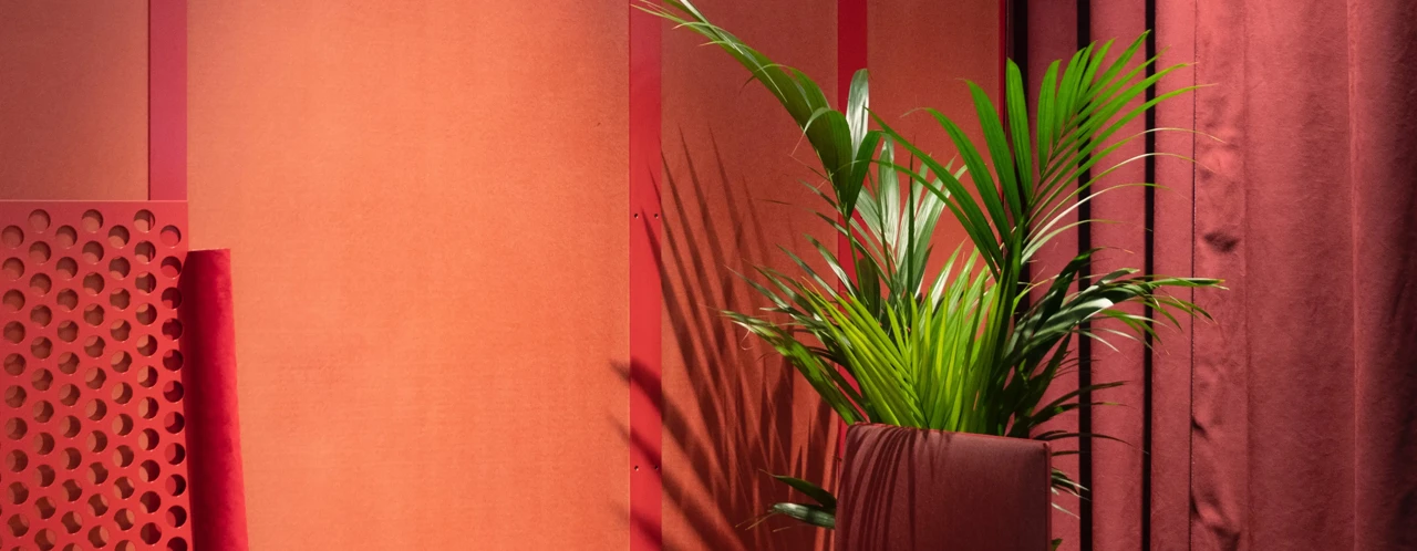 Groene kamerplant in een moderne pot voor een roodachtige stoffen wand.