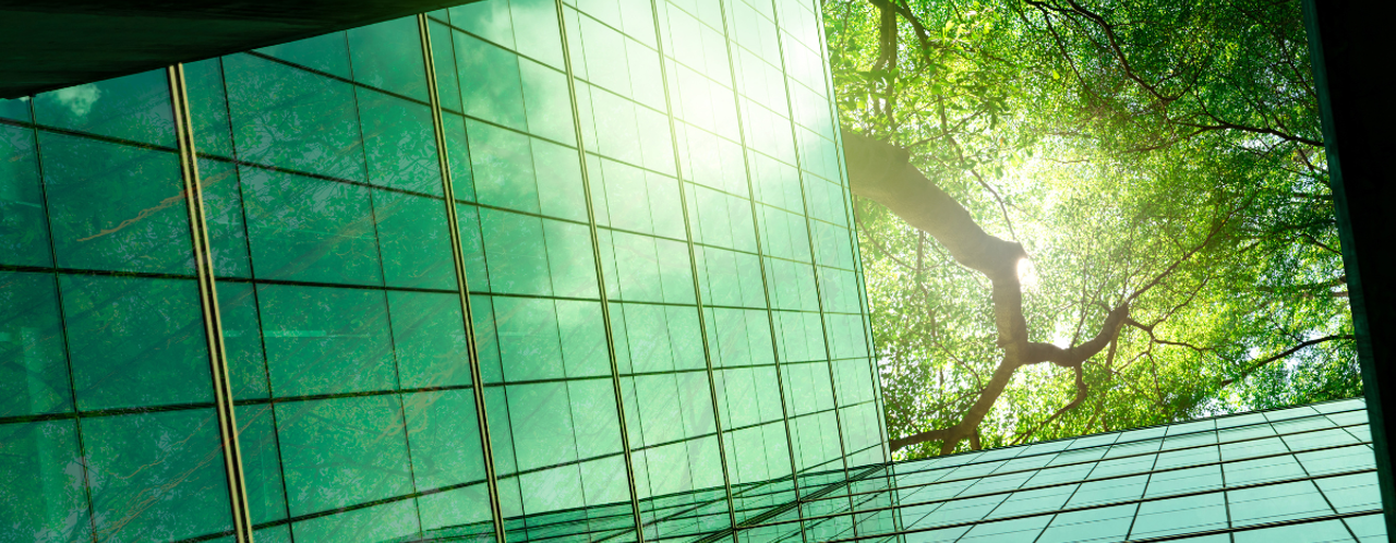 The Impact Of ESG On Your Property's Value