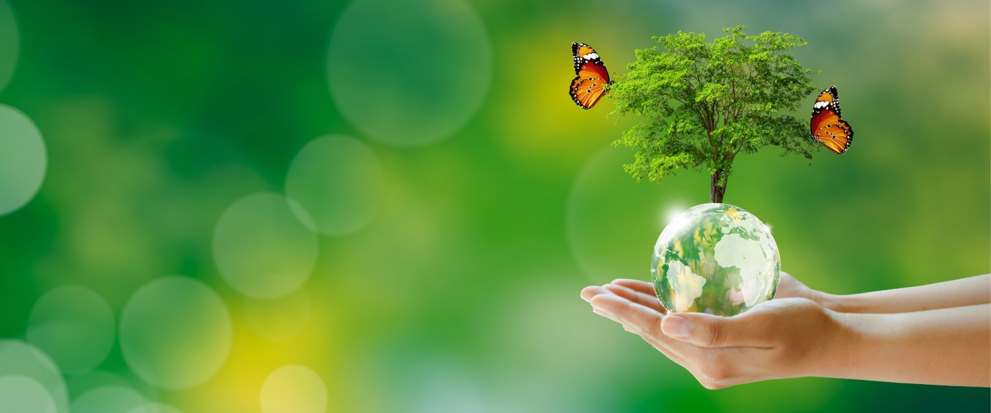 Een hand houdt een kleine aarde met een groeiende boom en twee vlinders, symbool voor milieubewustzijn en duurzaamheid.