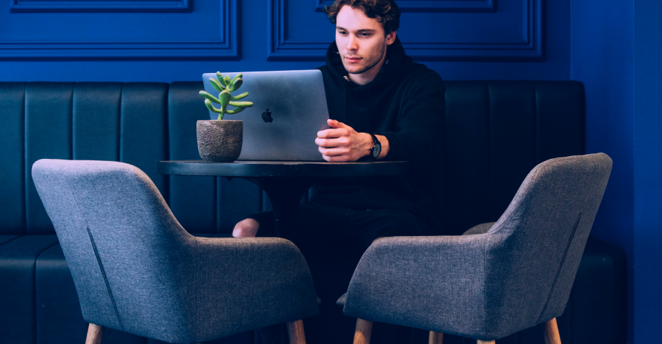Persoon zit aan een tafel met een groene plant achter een laptop in een kamer met blauwe muren en comfortabele stoelen.