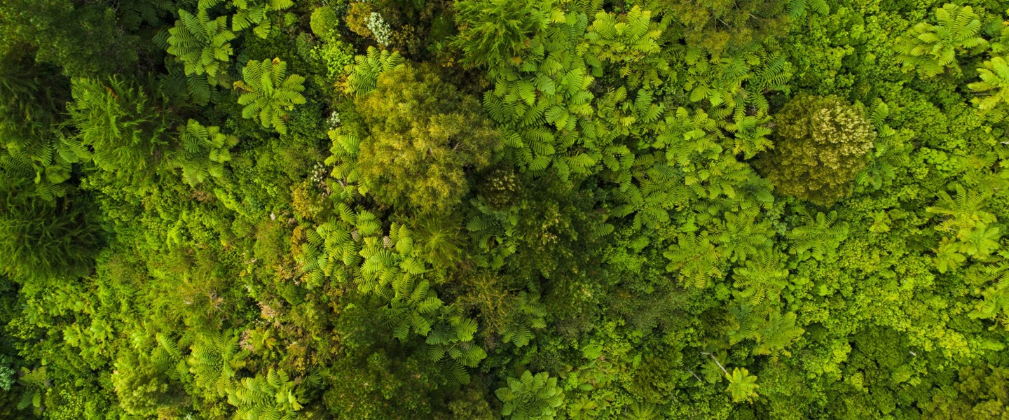 Header Fullscreen Groen Verduurzamen
