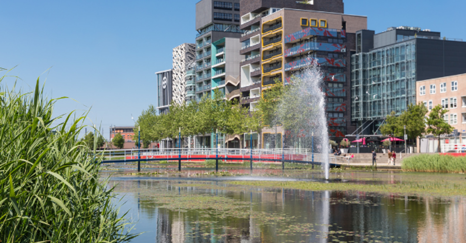 Moderne gebouwen aan een schilderachtig water met een fontein, omringd door groen gras en planten.