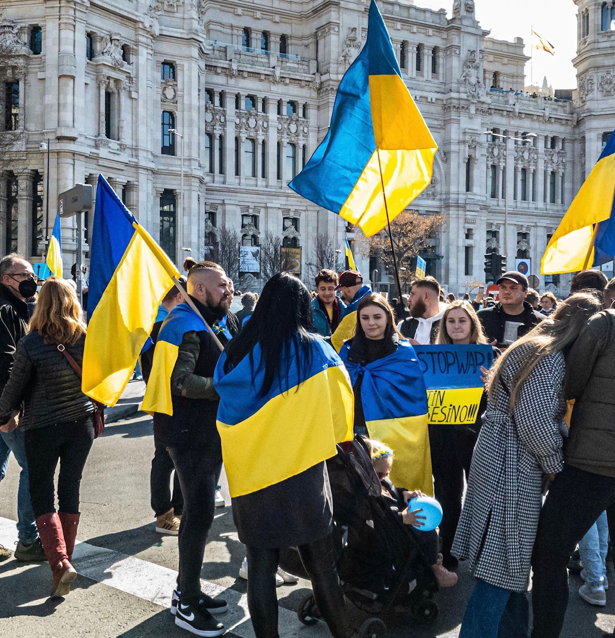 Oekraine Vlag (1)