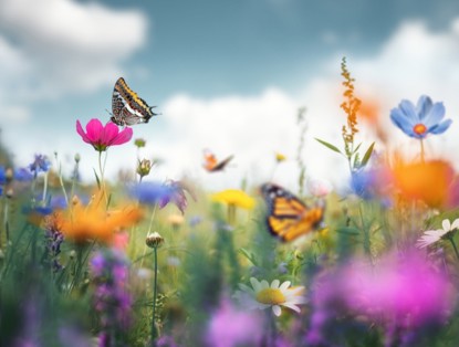 Een vlinder zit op een roze bloem, omringd door een kleurrijke bloemenweide met diverse bloemen en meer vlinders op de achtergrond.