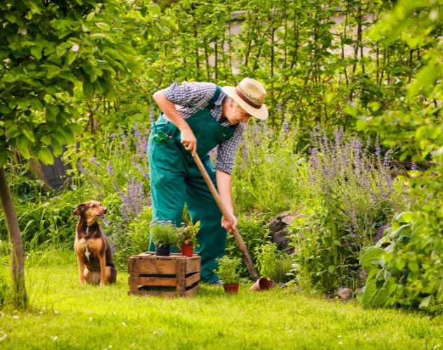 Tuinier in groene overall met een spade, terwijl een hond op de achtergrond tussen bloeiende planten zit.