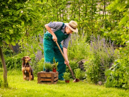 Tuinier in groene overall met een spade, terwijl een hond op de achtergrond tussen bloeiende planten zit.