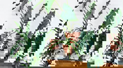 Beazy Lcxns7y1mm Unsplash (1)