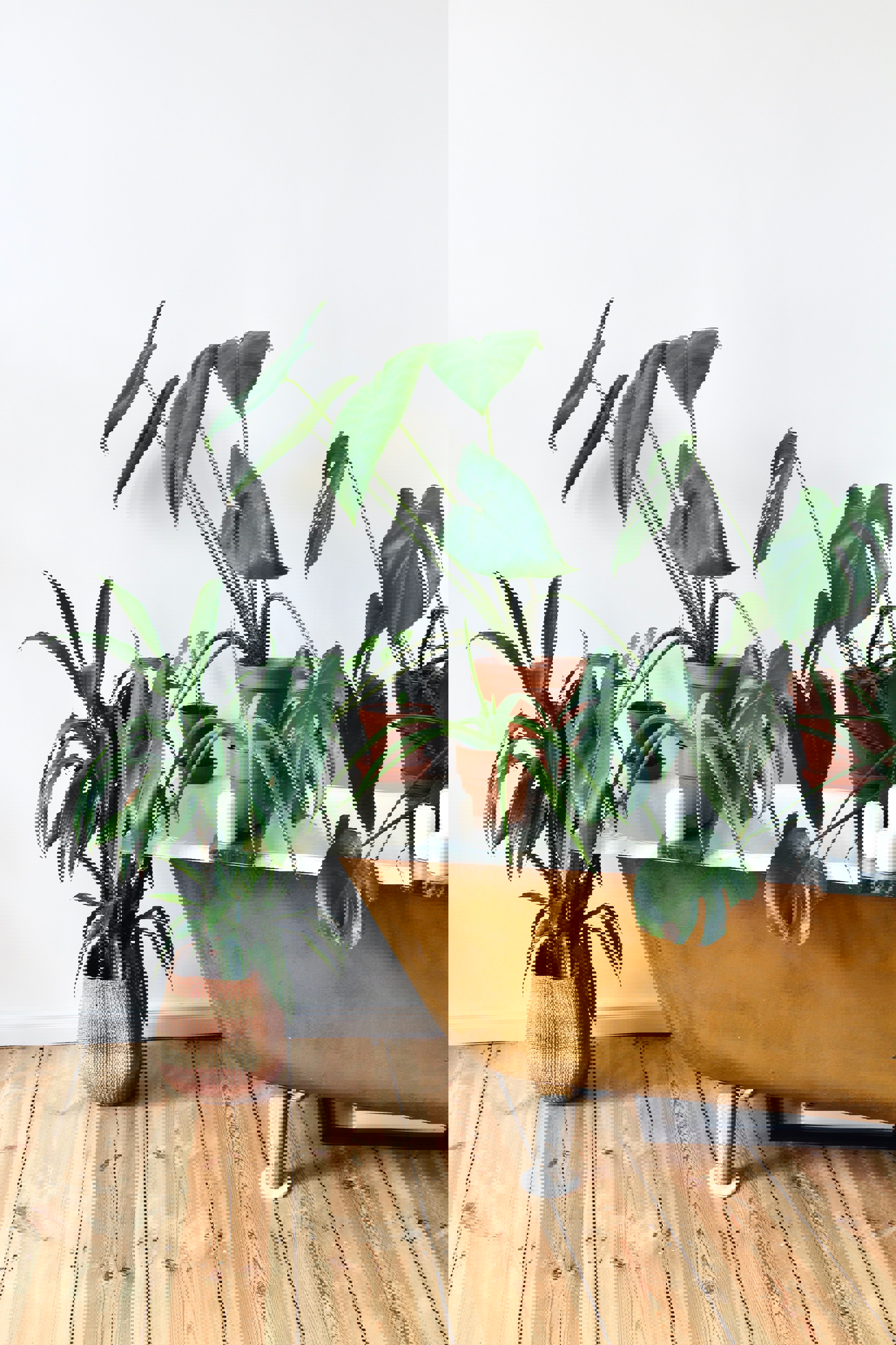 Beazy Lcxns7y1mm Unsplash (1)