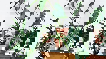 Beazy Lcxns7y1mm Unsplash (1)