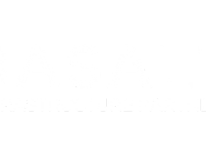 Basalt Infrastructure Partners
