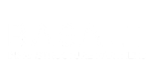 Basalt Infrastructure Partners logo
