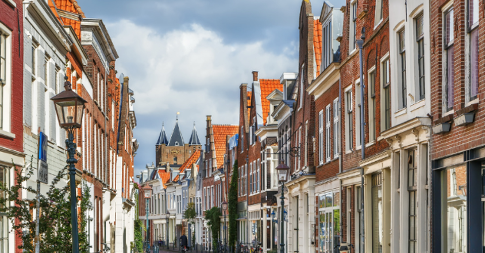 Een rustige straat in een historische stad met traditionele gebouwen, bomen en een blauwe lucht op de achtergrond.
