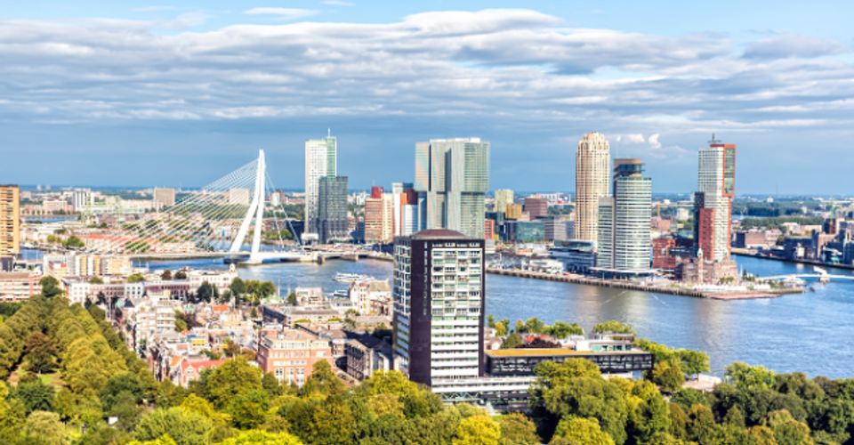 Panoramisch uitzicht over Rotterdam met de Erasmusbrug en een moderne skyline aan de Maas, omringd door groen.